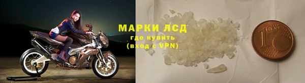 гидра Арсеньев